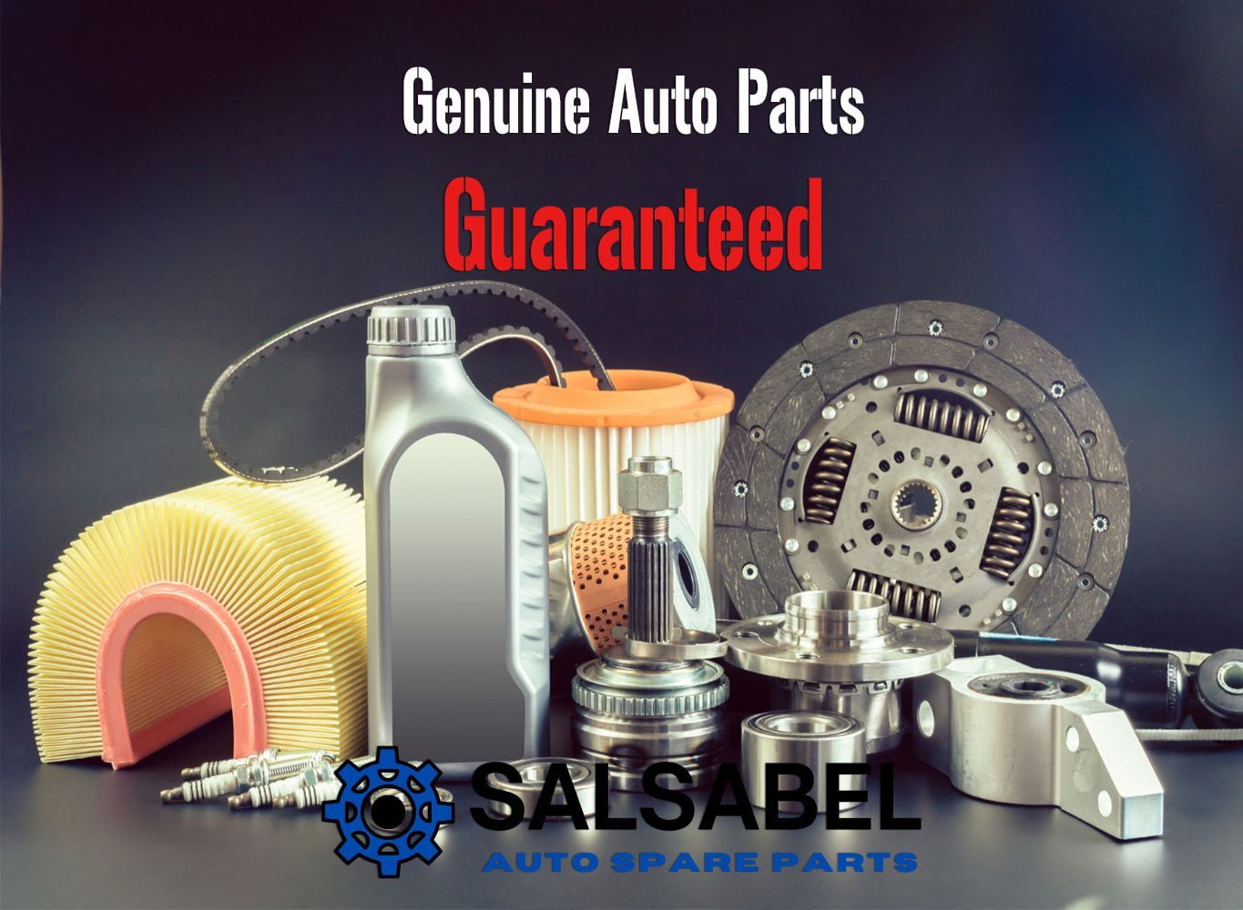 Salsabel-Genuine-Car-Parts-Spares-Accesoires-Genuine