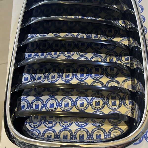 BMW Grille front left 51137397465
