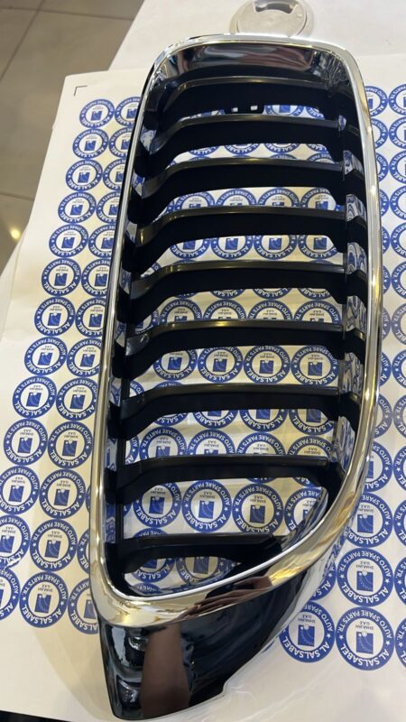 BMW Grille front right 51137294818