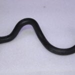 VOLKSWAGEN FUEL LINE 036133723BR