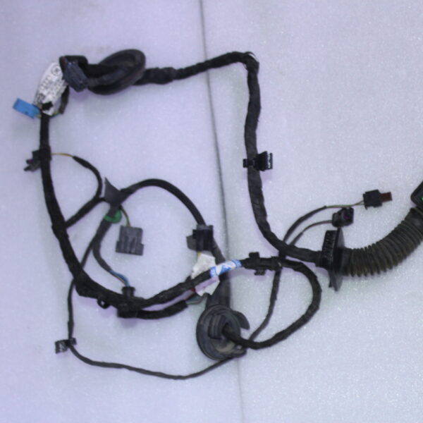 AUDI Q7 Front LEFT DOOR Wiring Harness 4M0971029GA