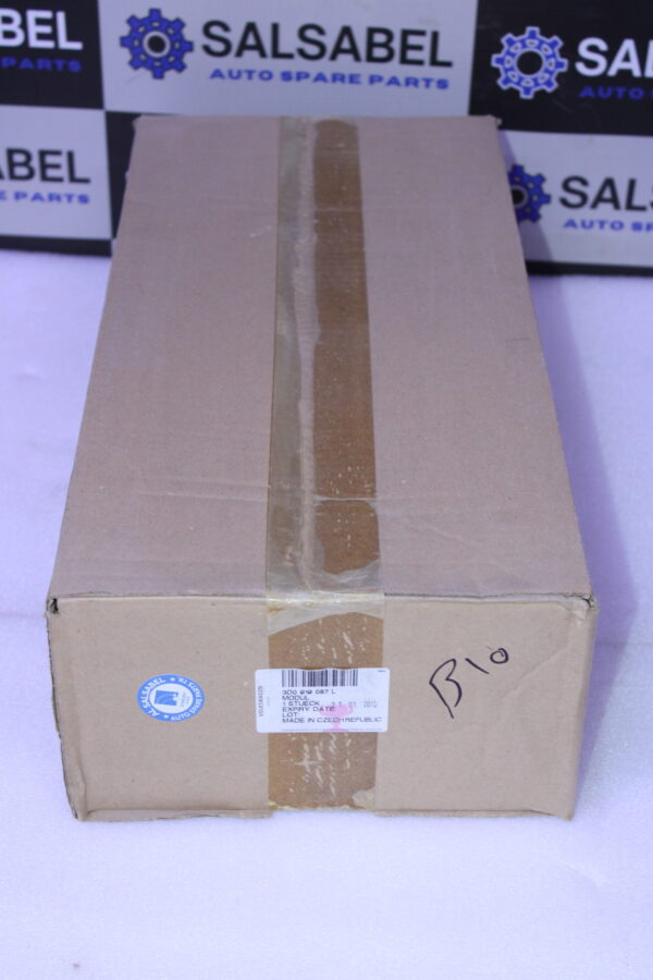 Volkswagen Fuel Delivery Module 3D0919087L