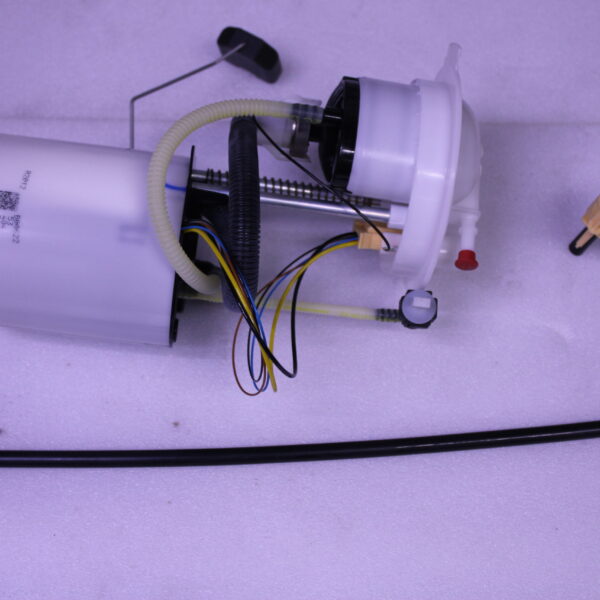 Volkswagen FUEL DELIVERY UNIT 3C0919051AK