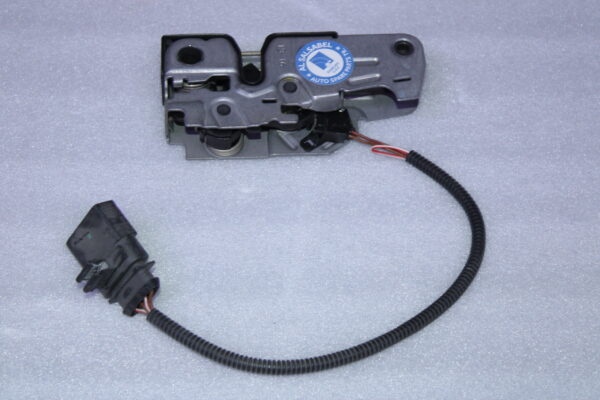 Volkswagen Lid Lock 7P6823509B