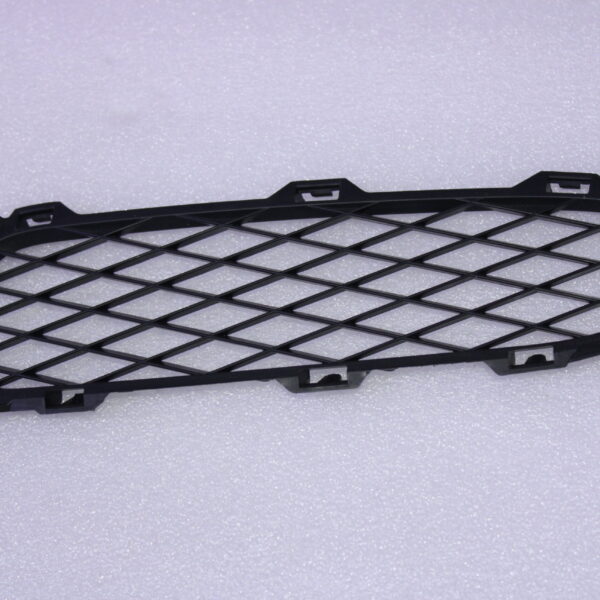 Volkswagen ORNAMENTAL GRILLE 7L6853684 9B9
