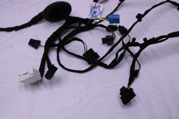 Audi Q8 Rsq8 Rear Door Wiring Set 4M8971687Js