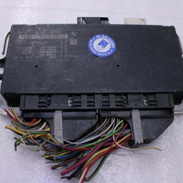 BMW FRM III Footwell Light Control Module 61359273630