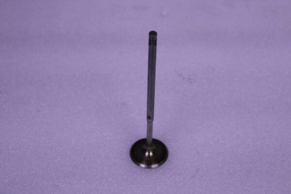 Volkswagen Inlet Valve 022109601H