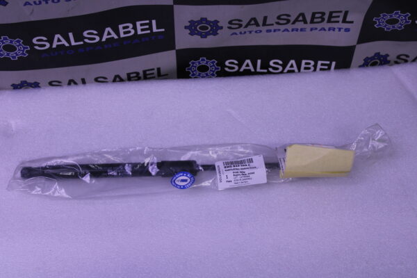 Audi A4 Gas Filled Strut 8W0823359C