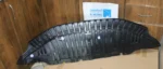 Audi A8 CLOSING ELEMENT FRONT LOWER 4H0807611B