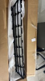 BMW Grill center lower 51117423098