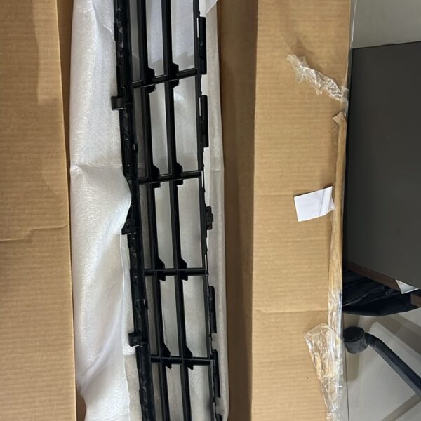 BMW Grill center lower 51117423098