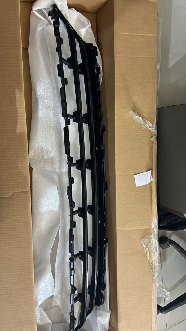 Bmw Grill Center Lower 51117423098